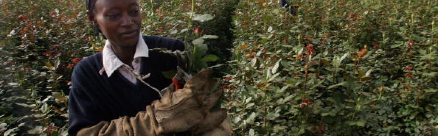 trade blocs in africa