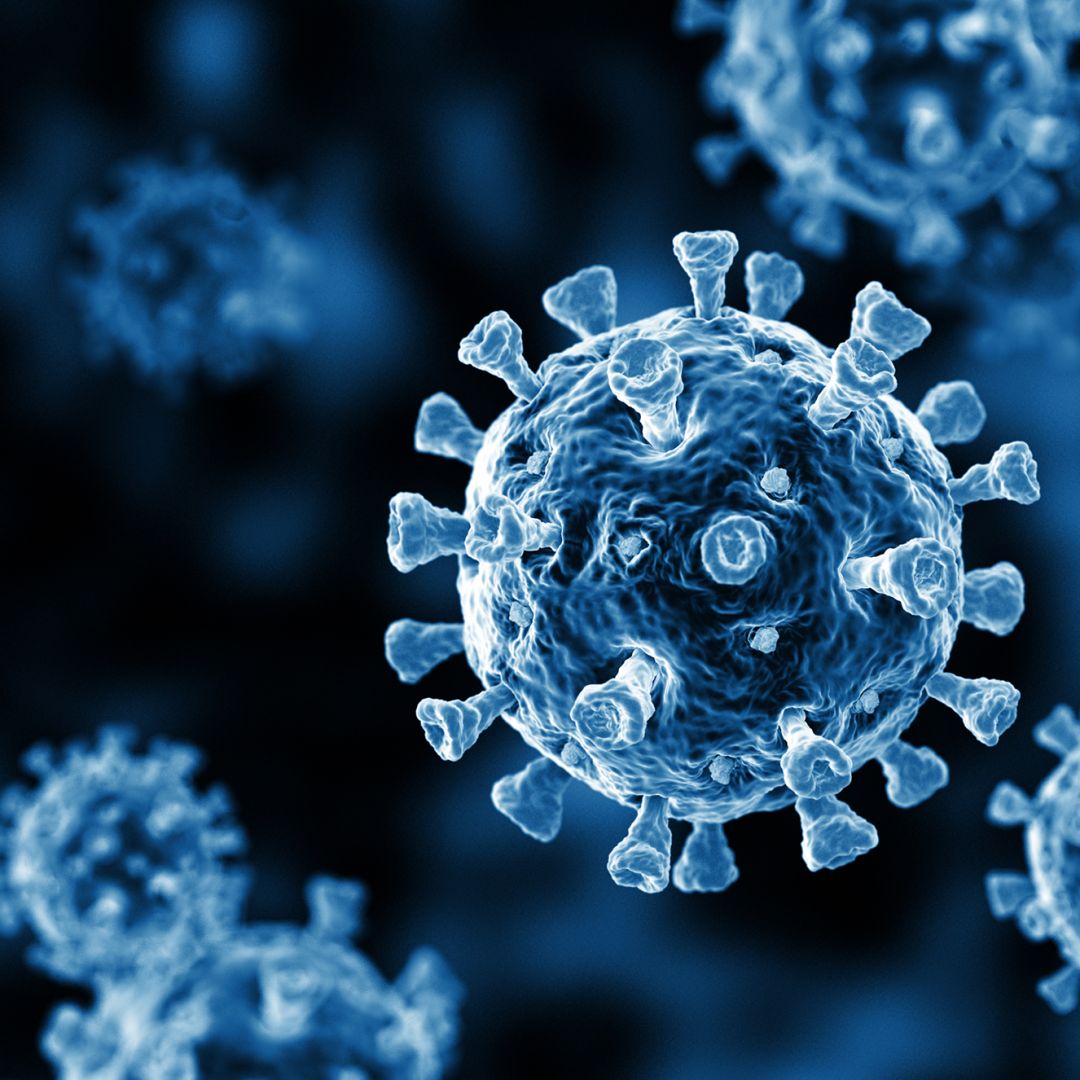 The virus that causes COVID. The virus that causes COVID.