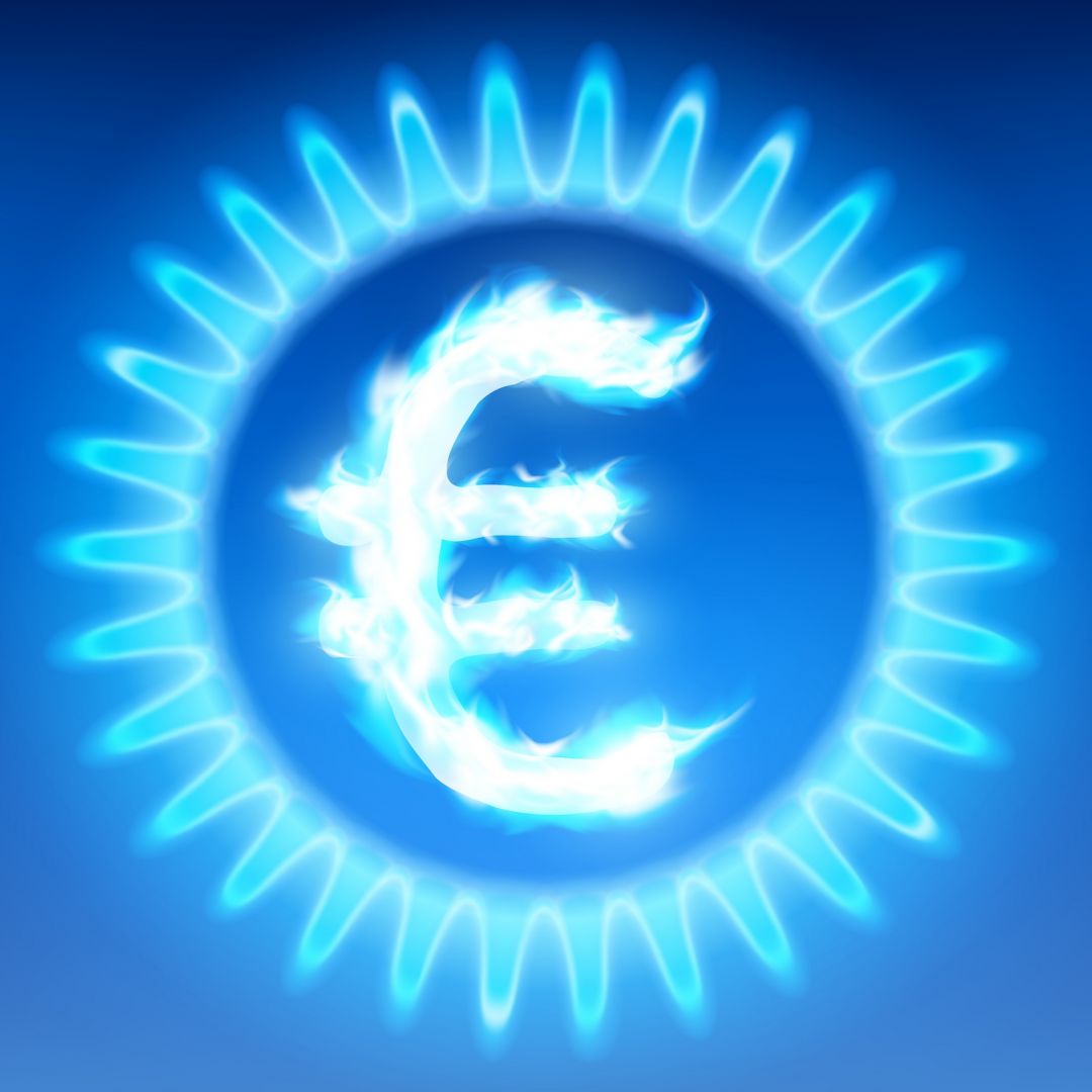 A digital illustration shows the euro currency symbol burning with a blue flame inside a gas stove. 
