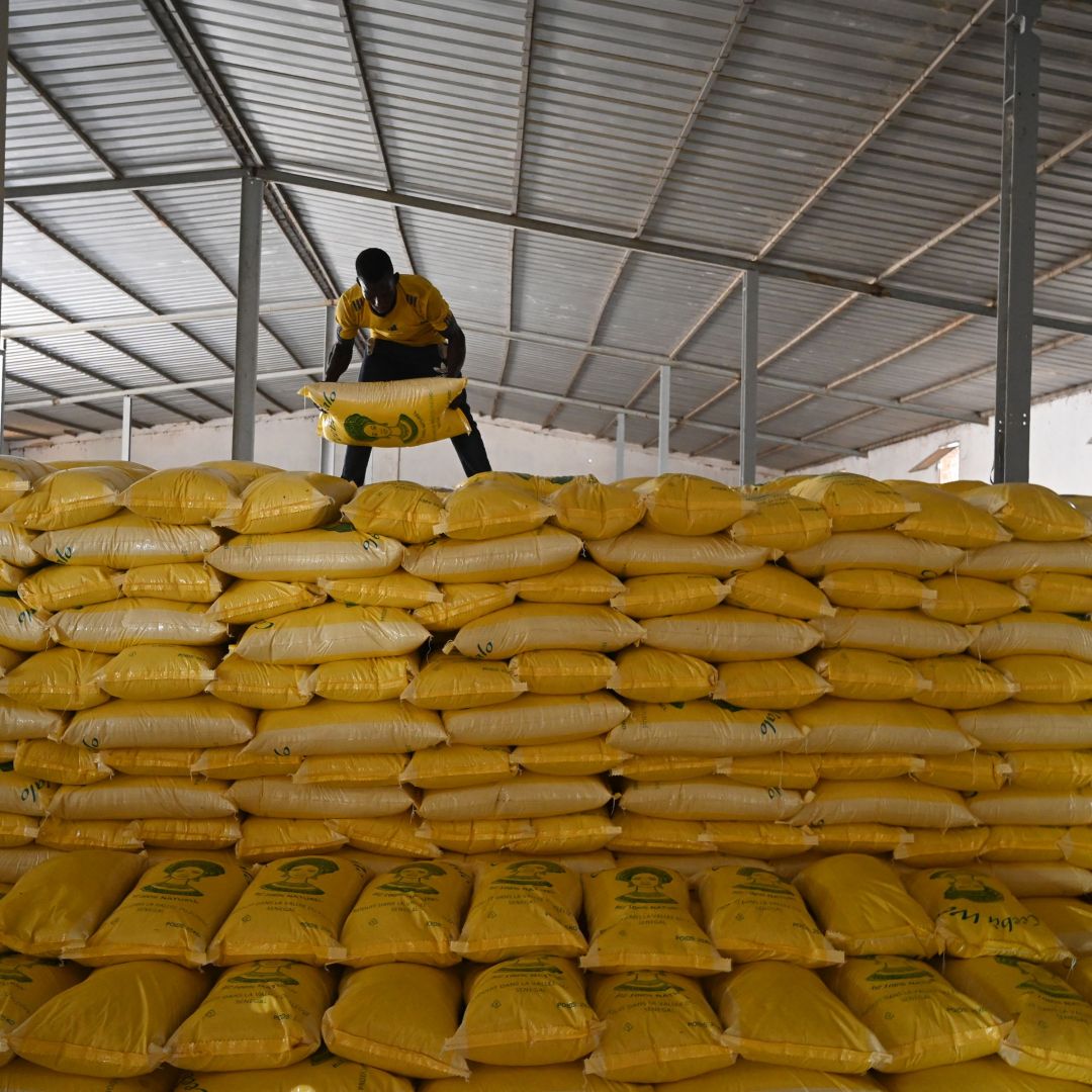 A farm worker packs sacks of rice at a mill in Senegal on Oct. 27, 2022. Africa is a major rice importer, while India, one of the world’s main rice producers, recently announced restrictions on its exports. A farm worker packs sacks of rice at a mill in Senegal on Oct. 27, 2022. Africa is a major rice importer, while India, one of the world’s main rice producers, recently announced restrictions on its exports.