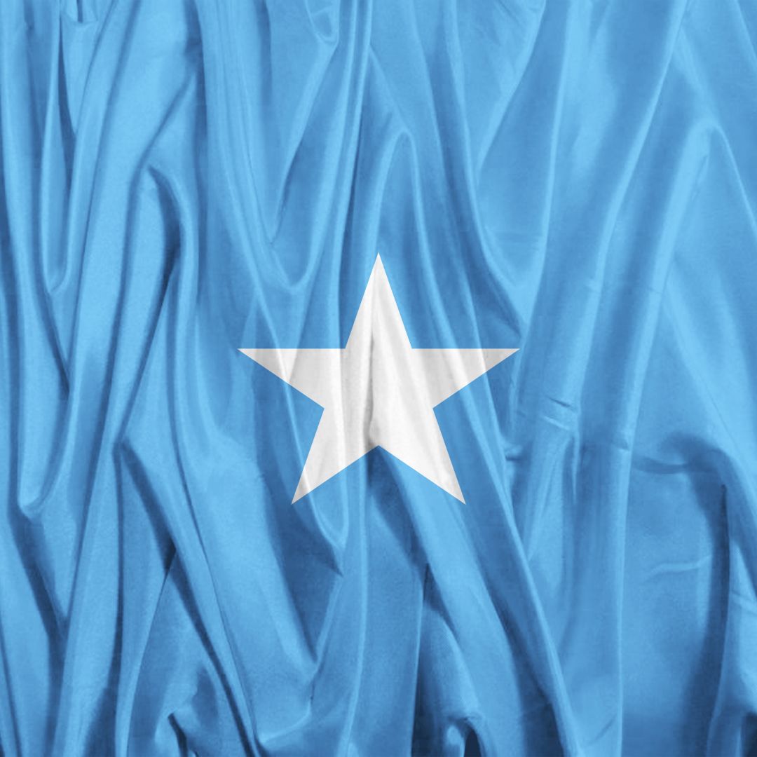 A photo of the Somali flag.