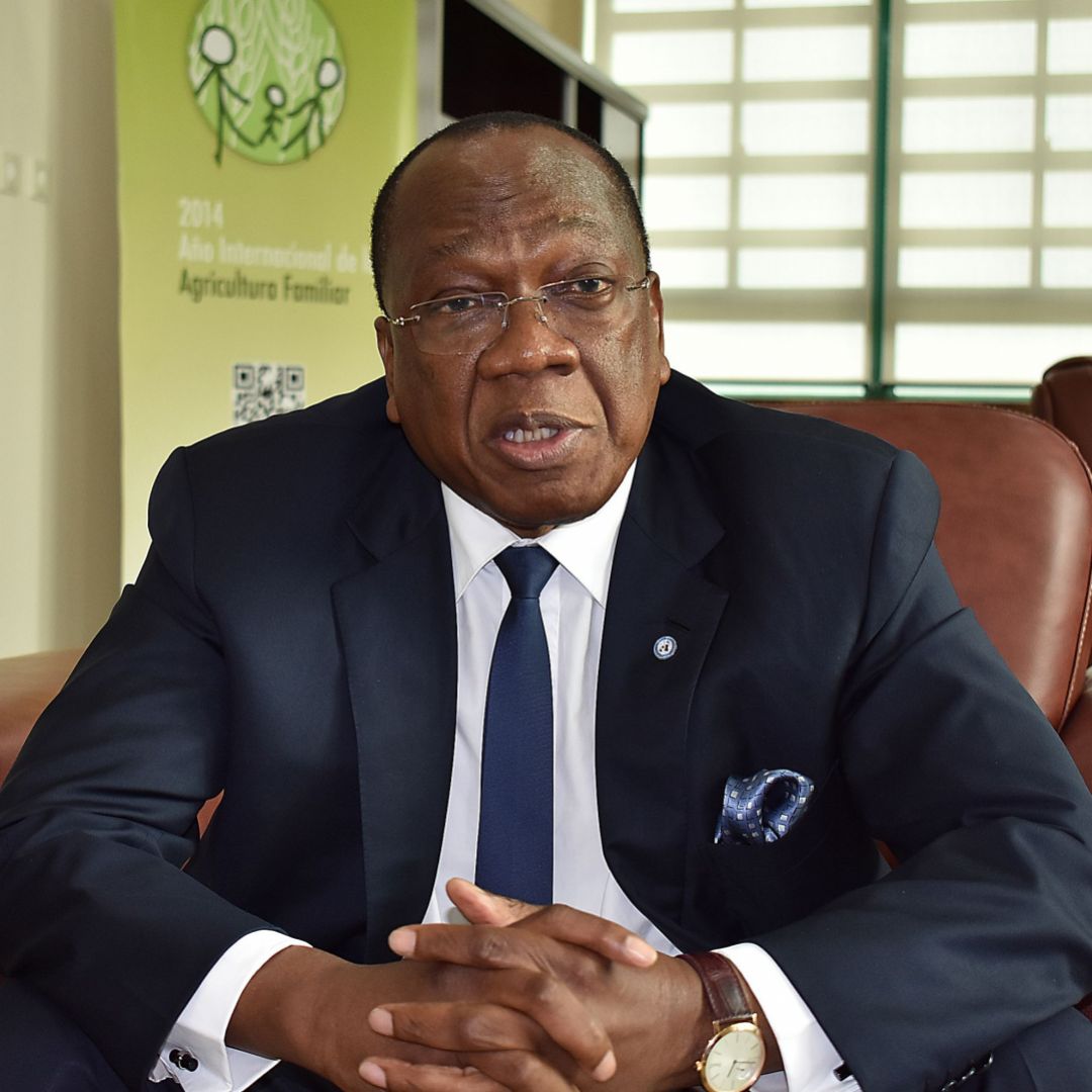 U.N. envoy Francois Lounceny Fall speaks in Malabo, the capital of Equatorial Guinea, on Jan. 9, 2018.