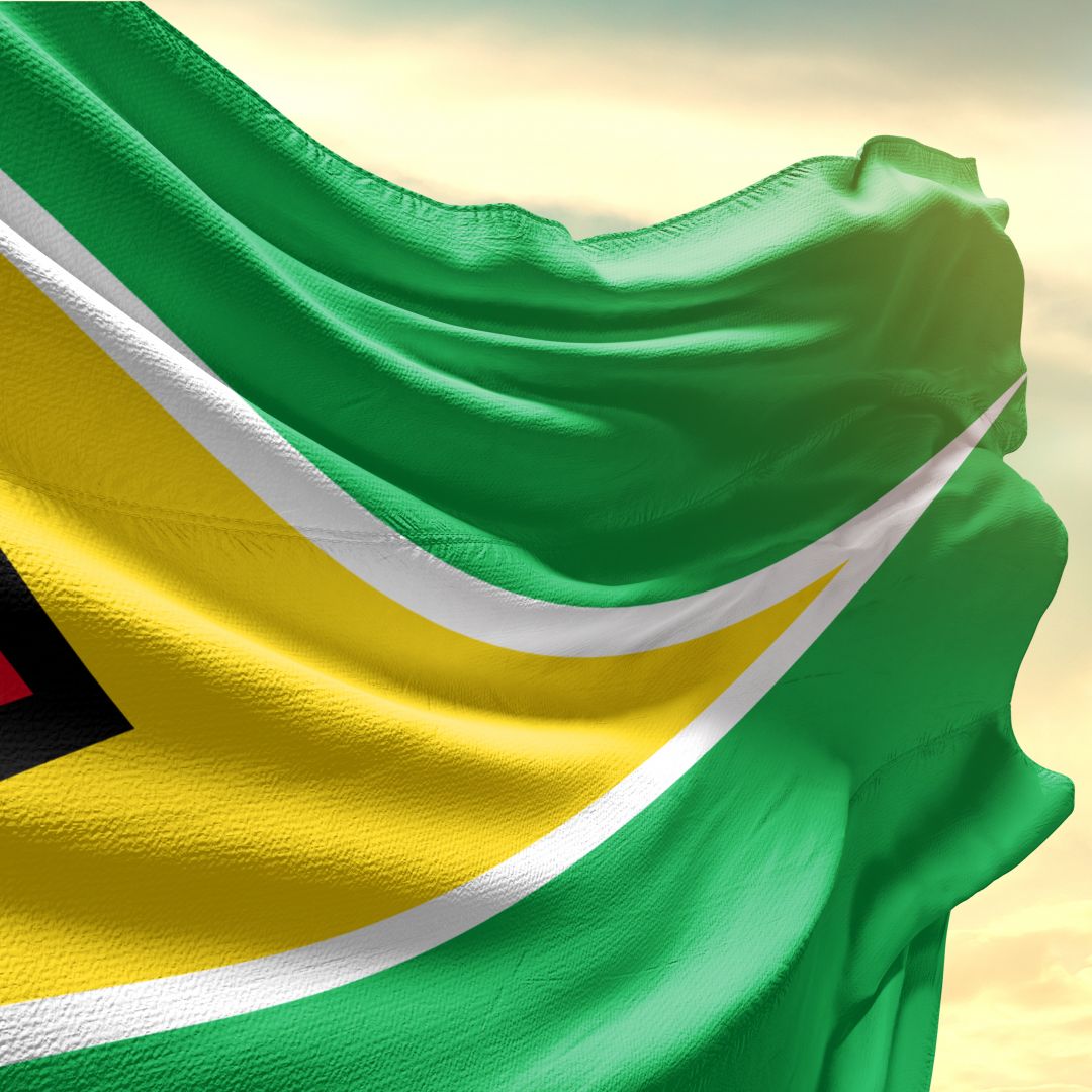 This photo shows the Guyanese flag.