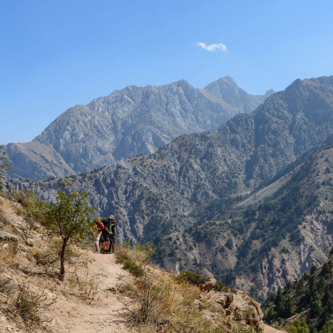 Uzbekistan's strategic location and natural resources make it of significant interest to external powers, including Russia, China, and the United States. Uzbekistan's strategic location and natural resources make it of significant interest to external powers, including Russia, China, and the United States.