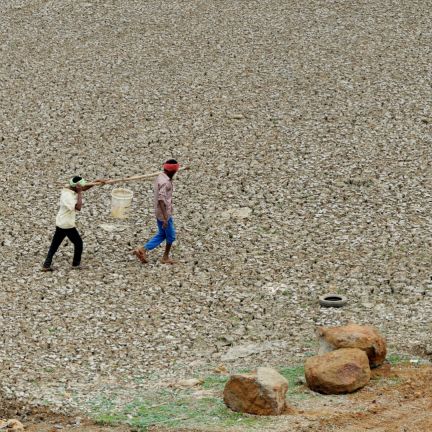 Rapid growth, development and resource mismanagement have contributed to a water crisis in India, where the government says 600 million people are facing severe water shortages. Workers carry water collected from Puzhal lake on June 20, 2019. Puzhal is one of four main reservoirs that supply the southern Indian city of Chennai with water; all are running dry.