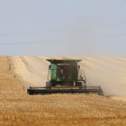 A farmer harvests wheat June 14, 2022, on a field near Izmail, in the Odesa region of Ukraine.