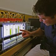 The head of the renewable energy laboratory at Israel’s Tel Aviv University researches how to harness hydrogen from plants to potentially use as a new form of electricity on June 11, 2020.